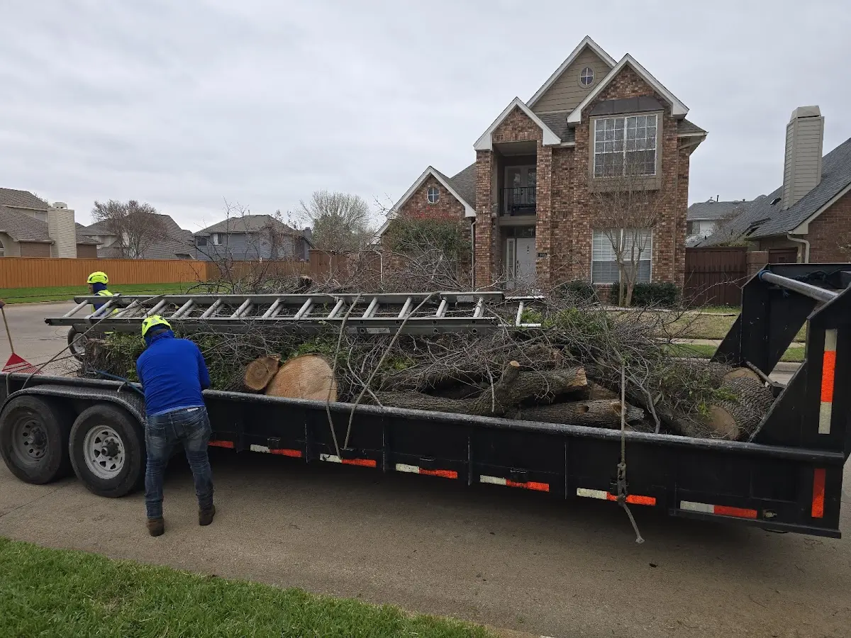 Expert Tree Fertilization with proper safety equipment in Enosburg Falls